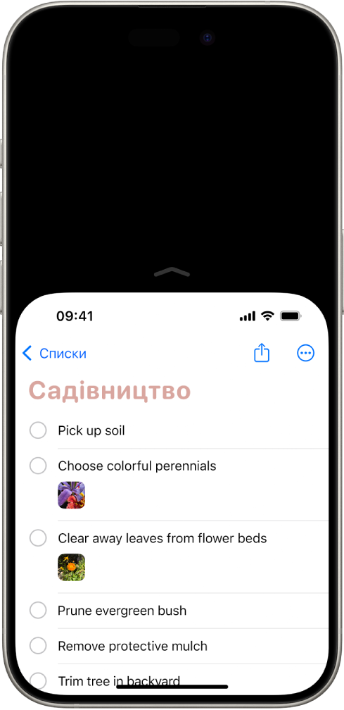 Екран iPhone з увімкненою функцією «Досяжність». Верхню частину екрана зсунуто донизу, тому її легко можна торкнути великим пальцем.