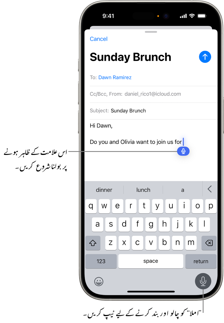 آن اسکرین کی بورڈ Mail ایپ میں کھلا ہے۔ اسکرین کے نچلے دائیں کونے میں املا کا بٹن منتخب کیا گیا ہے اور املا کا بٹن متن کے خانے میں انسرشن پوائنٹ کے نیچے ظاہر ہوتا ہے۔