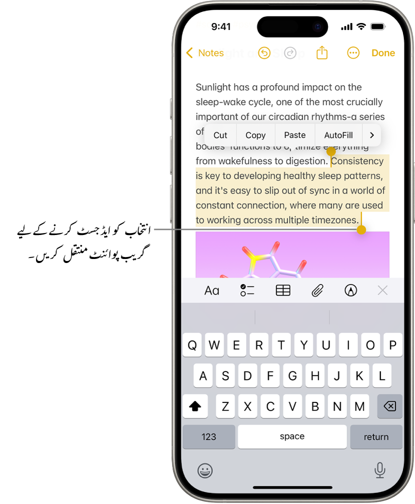 متن نوٹ ایپ میں نوٹ میں منتخب کیا گیا ہے۔ منتخب کردہ متن کے اوپر کٹ، کاپی، پیسٹ اور آٹو فل بٹن ہیں۔ منتخب کردہ متن کو ہائی لائٹ کیا گیا ہے، جس کے دونوں سرے پر انتخاب کو ایڈجسٹ کرنے کے لیے گریب پوائنٹ ہیں۔