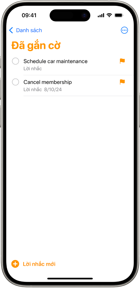 Màn hình Lời nhắc hiển thị một Danh sách thông minh có chứa tất cả các mục đã gắn cờ.
