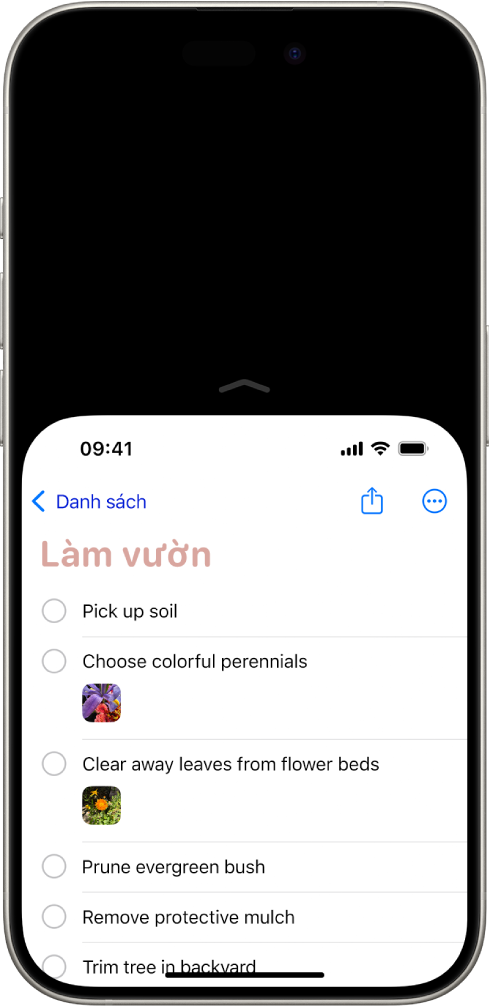 Màn hình iPhone với tính năng Tầm với được kích hoạt. Phần trên cùng của màn hình đã di chuyển xuống dưới để ở trong tầm với dễ dàng của ngón tay cái.