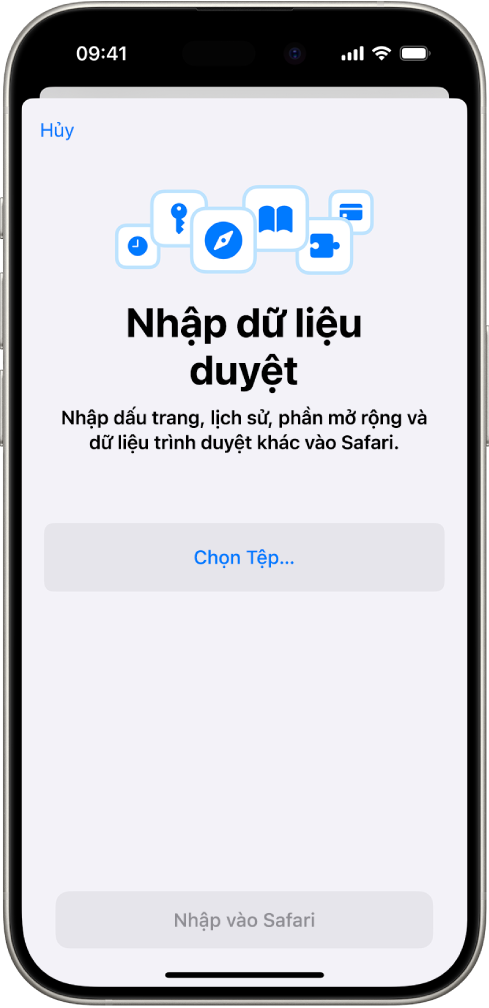 Màn hình Nhập dữ liệu duyệt, hiển thị dữ liệu từ một trình duyệt khác sẽ được nhập vào Safari.