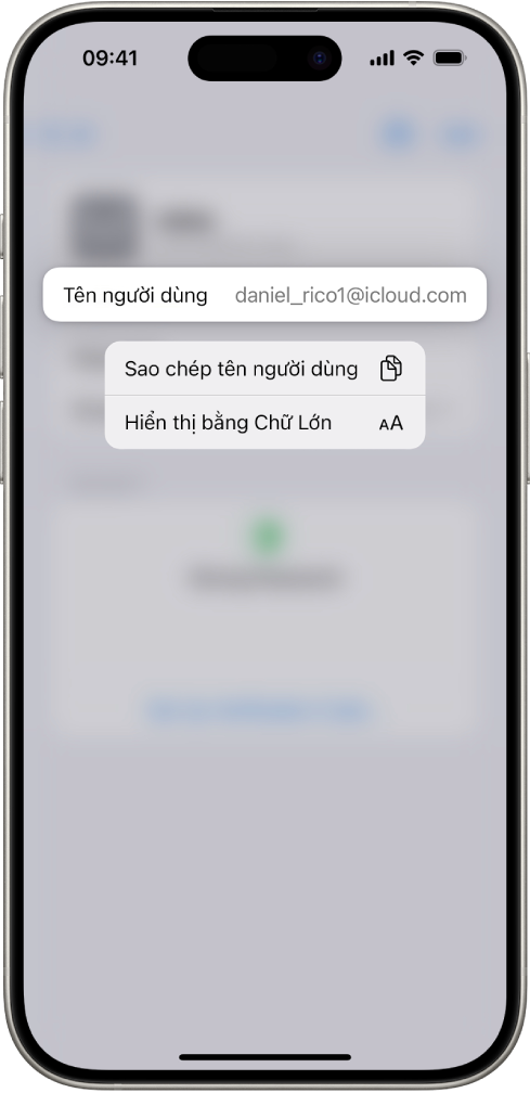 Một màn hình tài khoản đang hiển thị tên người dùng được tô sáng, với các tùy chọn để Sao chép tên người dùng và Hiển thị bằng chữ lớn.