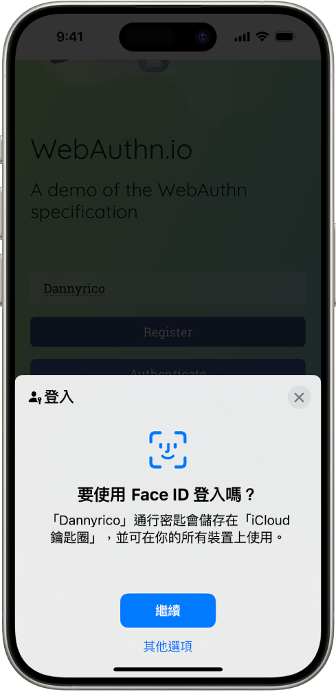 iPhone 螢幕的下半部份提供使用通行密匙登入網站的選項。其中包括用於儲存通行密匙的「繼續」按鈕,以及「其他選項」按鈕。