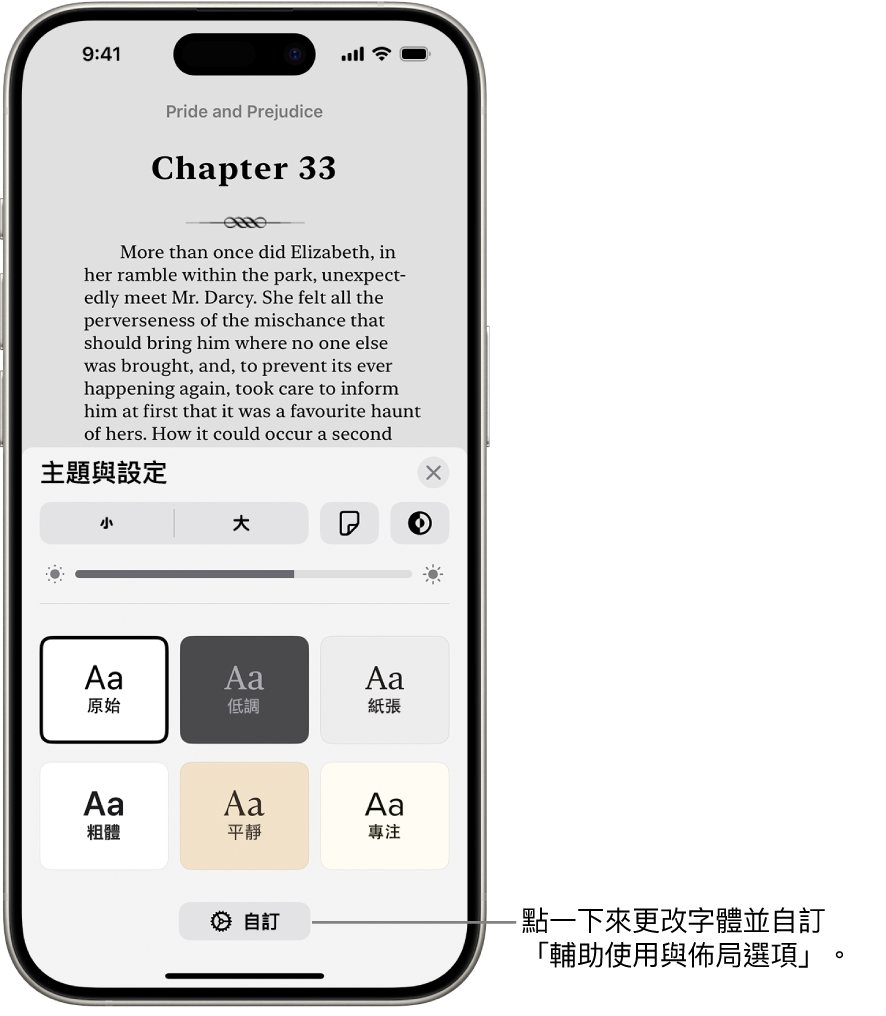 「書籍」App 中，書籍的頁面。「主題與設定」選項，顯示字體大小、捲動顯示方式、翻頁樣式、亮度和字體樣式的控制項目。