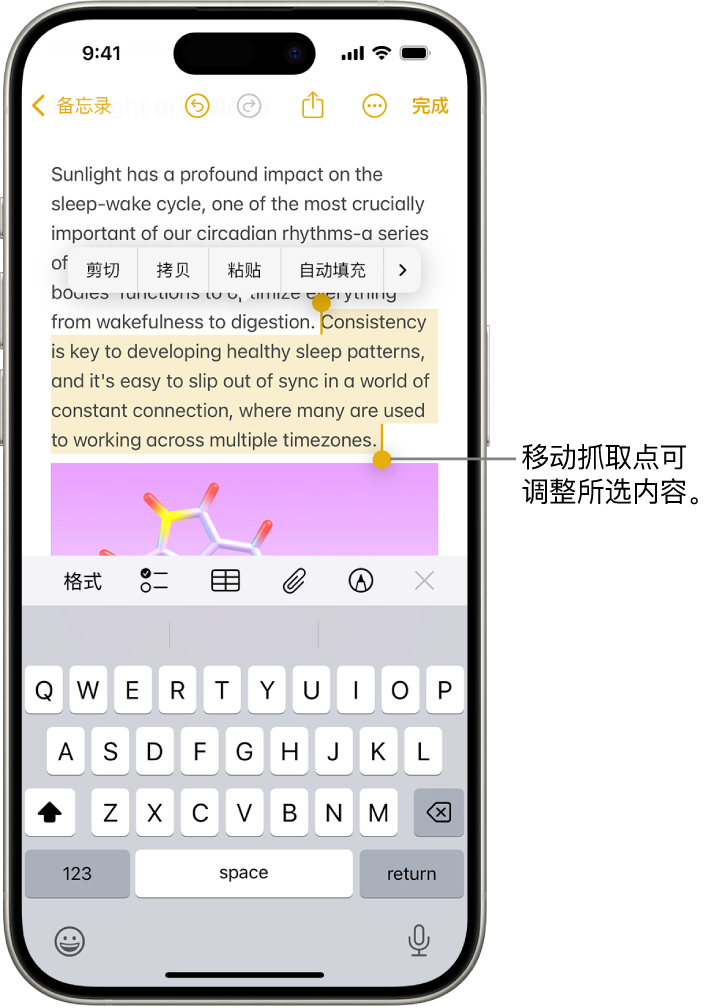 “备忘录” App 的备忘录中选中了文本。所选文本上方是“剪切”、“拷贝”、“粘贴”和“自动填充”按钮。所选文本高亮标记,并带有用于从任一端调整所选内容的抓取点。