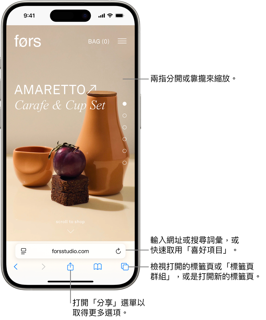 一個網站在 Safari 中打開,底部顯示網址欄位。底部從左至右為「返回」、「往前」、「分享」、「書籤」和「標籤頁」按鈕。