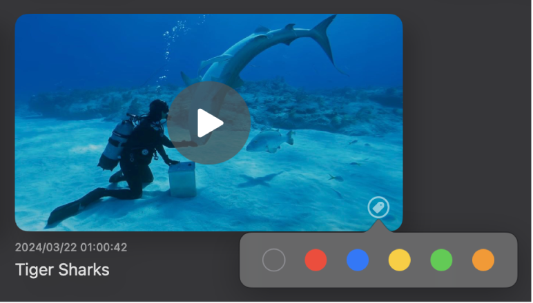 A media file in the playlist view with the tag button showing a menu of colored tags to choose from.