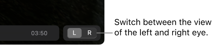 Controls in Apple Immersive Video Utility on Mac to switch between the view of the left and right eye.