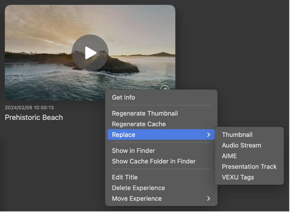 The menu that appears in Apple Immersive Video Utility when you Control-click a file. Replace is selected, and a list of embedded media is shown.
