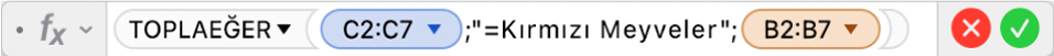 =TOPLAEĞER(C2:C7;“=Kırmızı Meyveler”;B2:B7) formülünü gösteren Formül Düzenleyici.