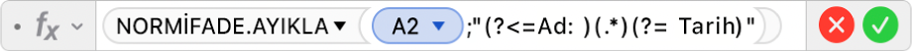 =NORMİFADE.AYIKLA(A2;“(?<=Ad: )(.*)(?= Tarih)” formülünü gösteren Formül Düzenleyici.