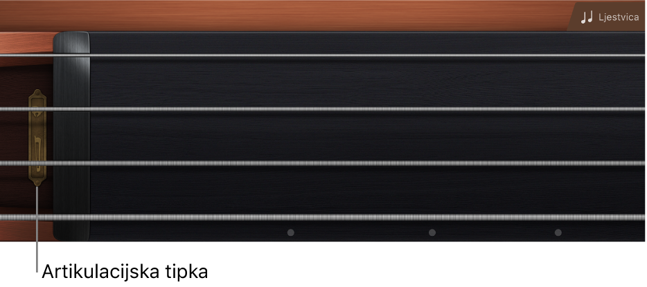 Slika. Hvataljka vrata instrumenta sa žicama.