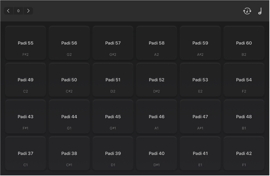 Kuva. Koko näytön rumpupadit.