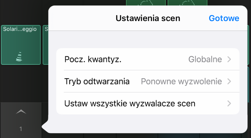 Menu Ustawienia sceny