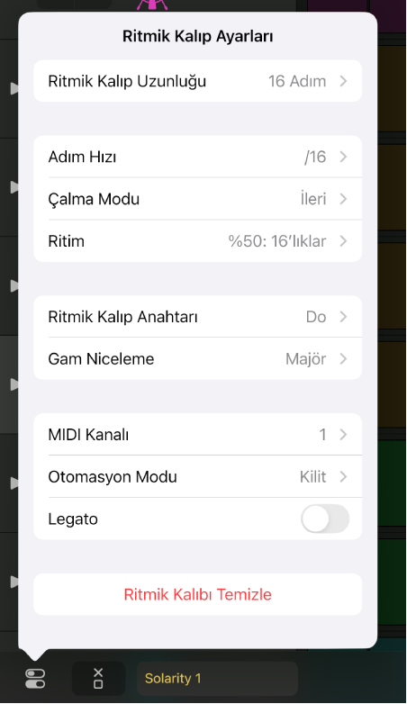 Ritmik Kalıp Ayarları menüsü.