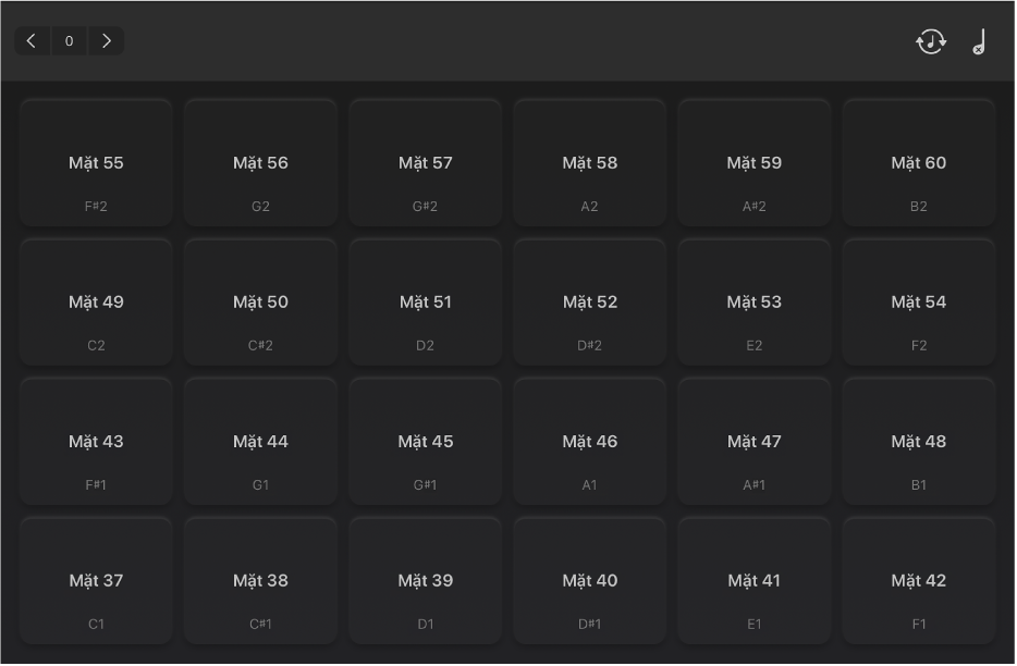 Hình. Mặt trống ở chế độ xem toàn màn hình.