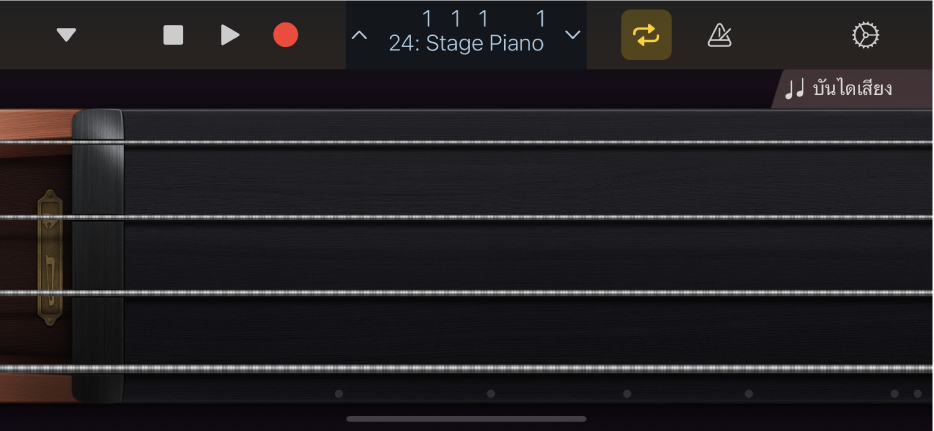 ภาพ เครื่องดนตรีแบบสัมผัสเครื่องสาย