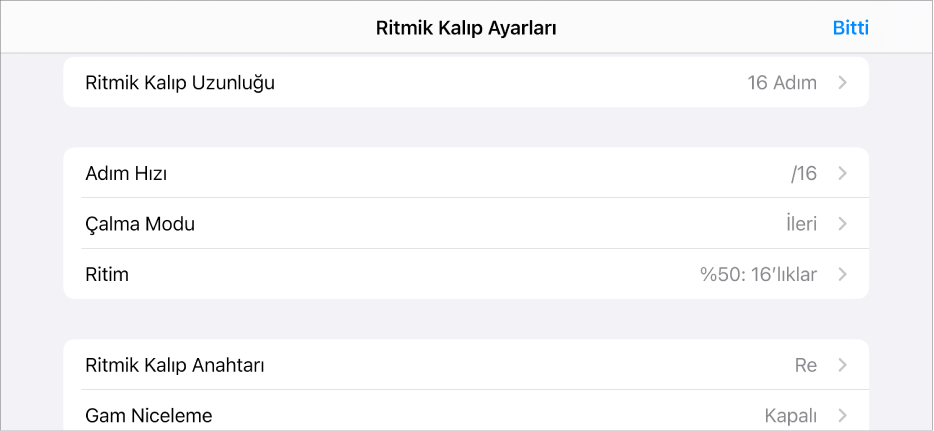 Ritmik Kalıp Ayarları menüsü.