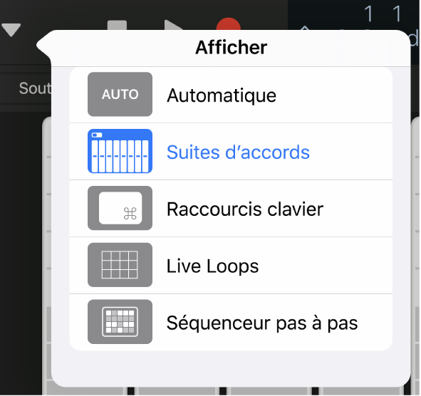 Figure. Menu contextuel Afficher.