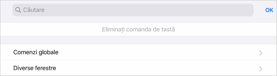 Figură. Filă comenzi taste.
