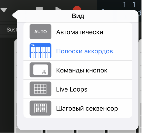 Рисунок. Всплывающее меню «Вид».