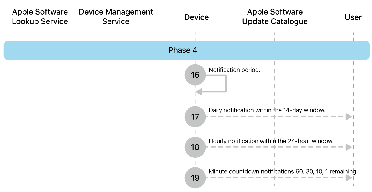 Phase 4 showing steps 16 to 19 of Apple software update enforcement.