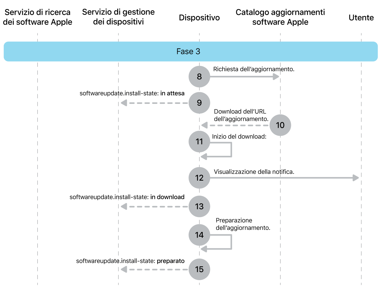 La fase 3 che mostra i passaggi da 8 a 16 dell’implementazione obbligatoria dell’aggiornamento software Apple.