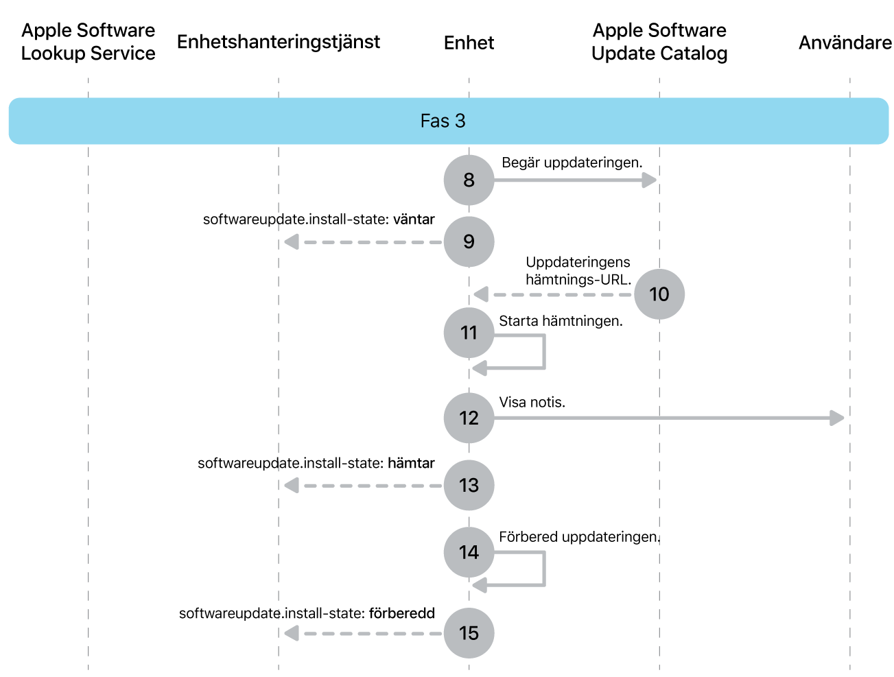 Fas 3 visar steg 8 till 16 i genomdrivingen av Apple-programuppdateringar.