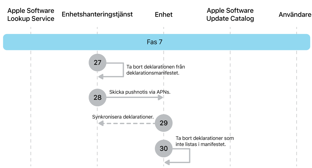 Fas 7 visar steg 27 till 30 i genomdrivingen av Apple-programuppdateringar.