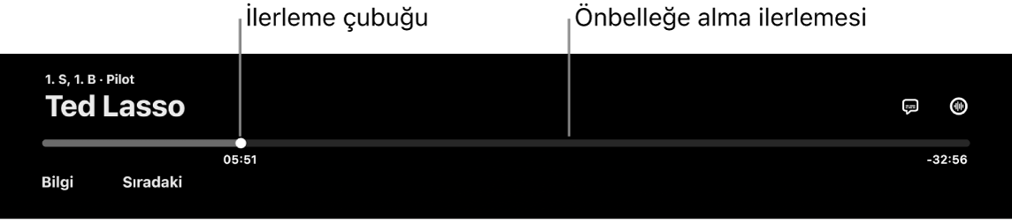 Oynatma denetimleri