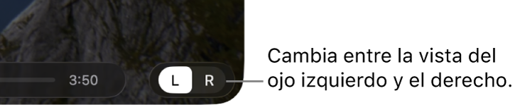 Controles de la app Utilidad Apple Immersive Video del Mac para cambiar entre la vista del ojo izquierdo y el derecho.
