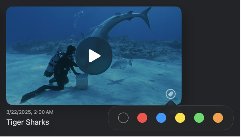 Archivo de contenido en la vista de playlist con el botón de etiqueta, que muestra un menú de etiquetas de colores entre las que elegir.
