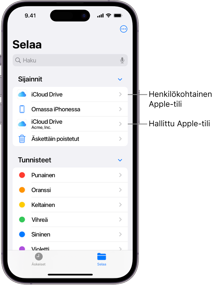 iPhonen näyttö, jossa näkyy kaksi iCloud Drivea. Toisessa niistä käytetään henkilökohtaista Apple-tiliä ja toisessa hallittua Apple-tiliä.