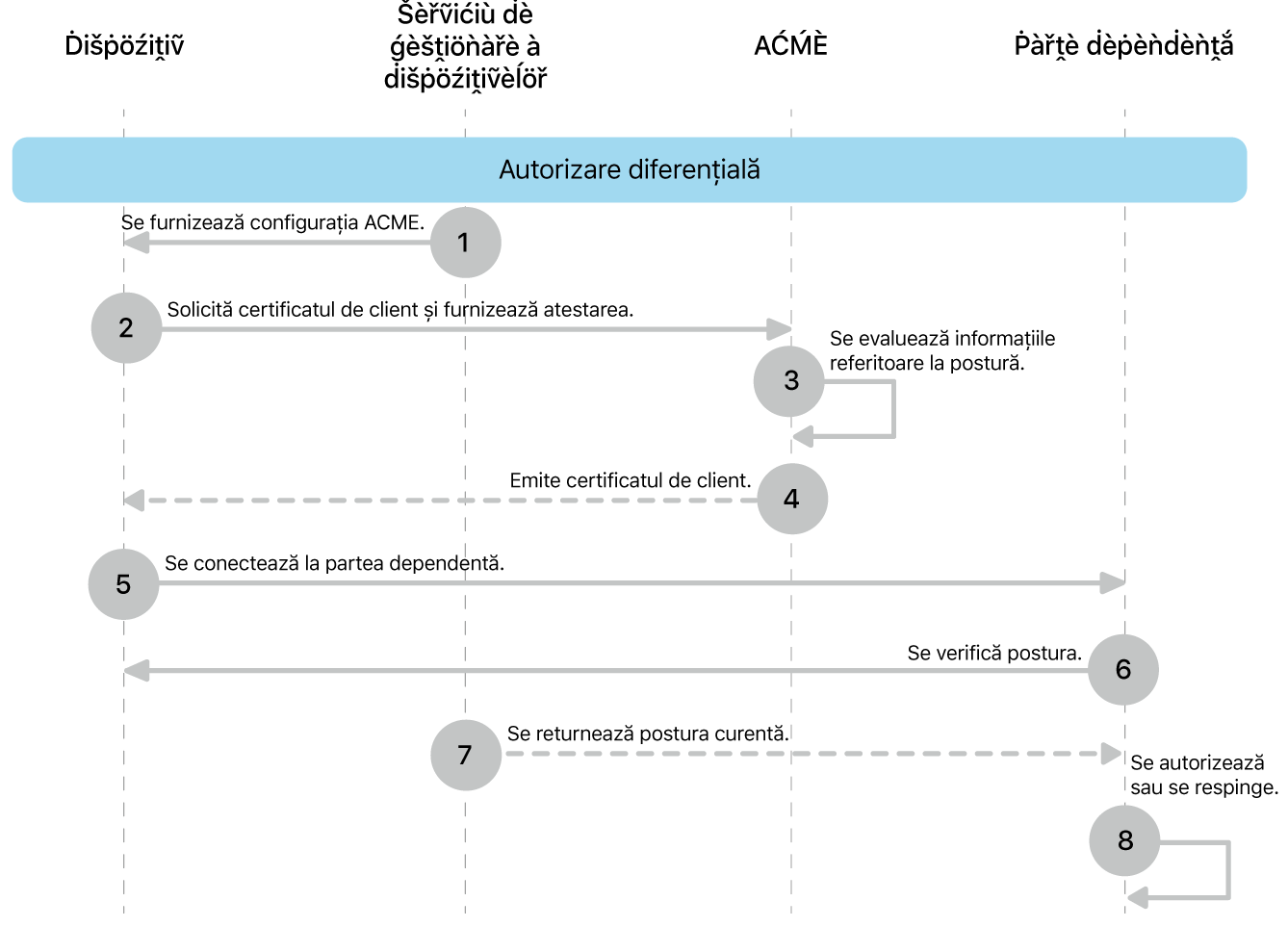 Pașii modelului de implementare a autorizării diferențiale.