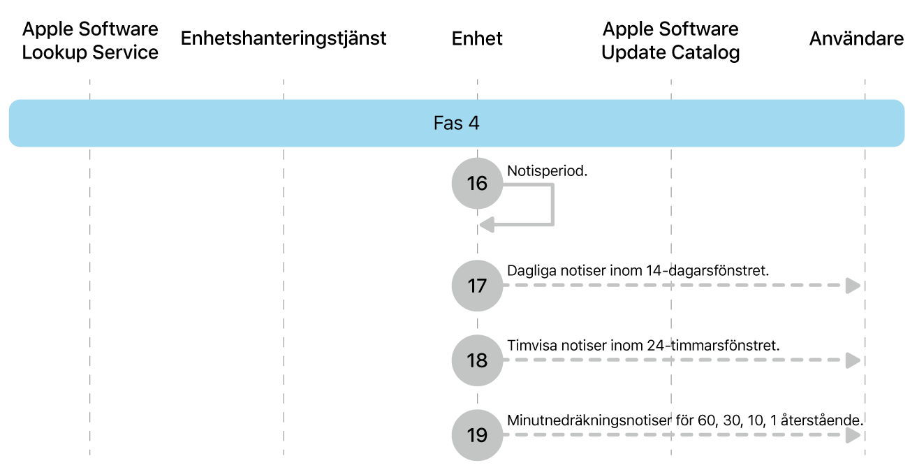 Fas 4 visar steg 16 till 19 i genomdrivingen av Apple-programuppdateringar.