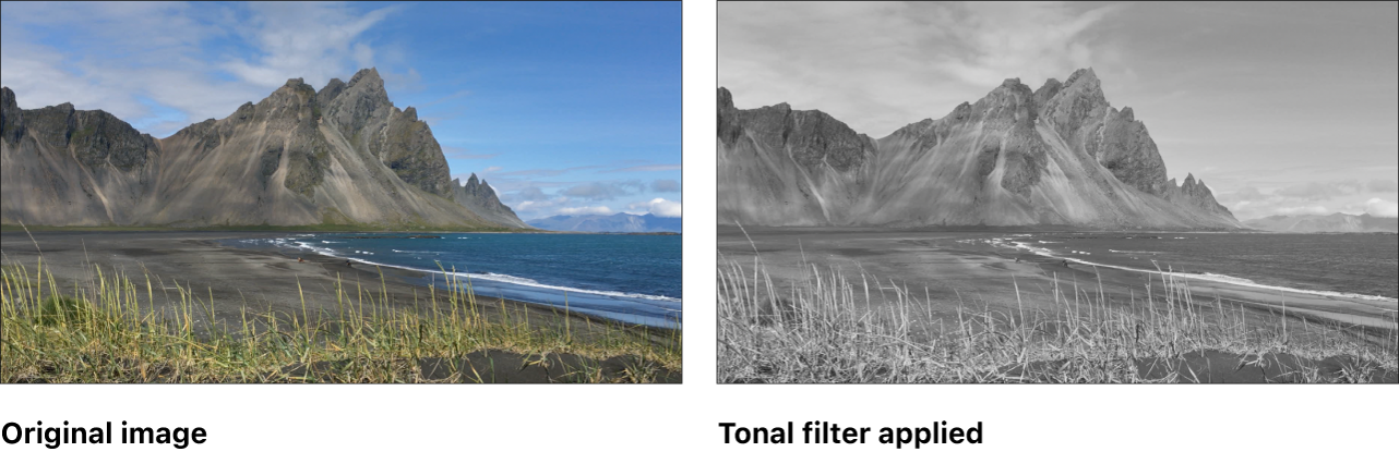 Canvas mit dem Effekt des Filters „Tonal“