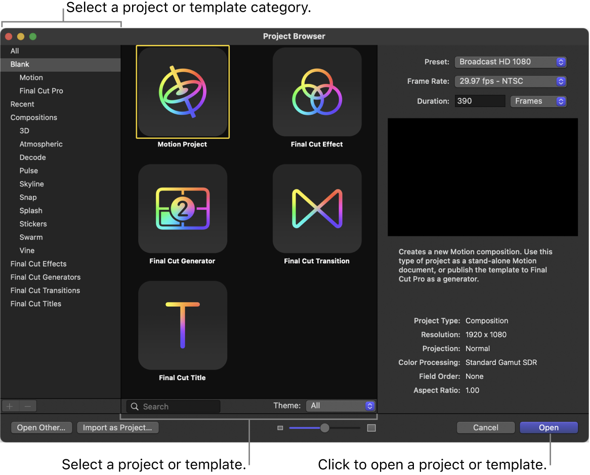 Project Browser window