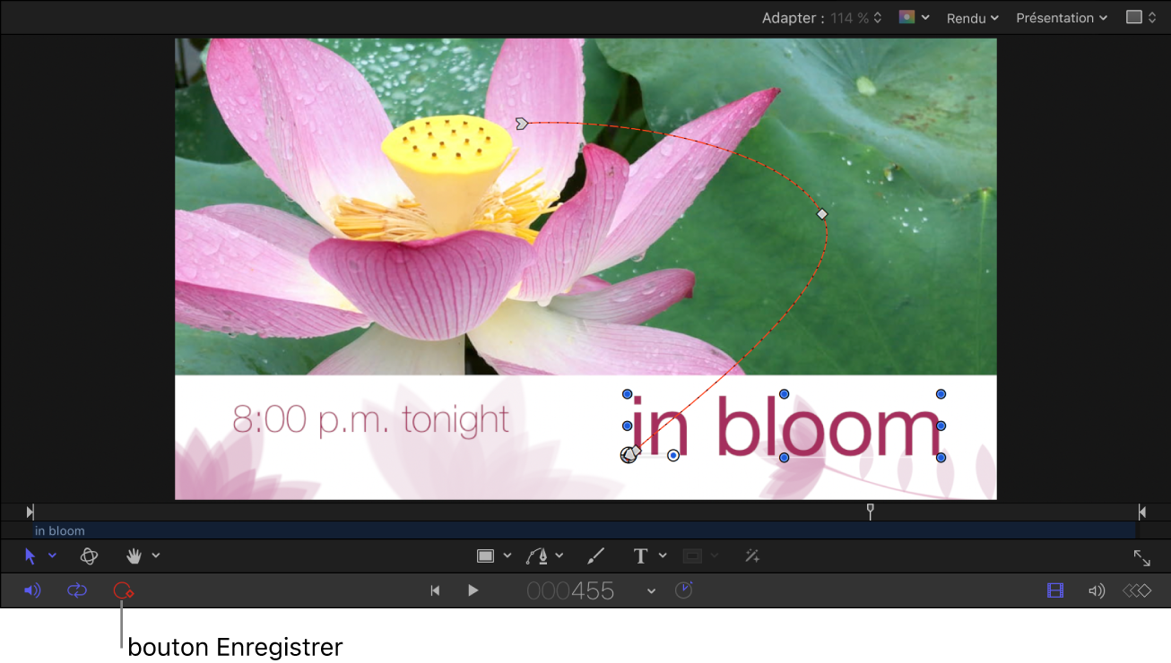 Canevas affichant le bouton d’enregistrement actif et un objet animé