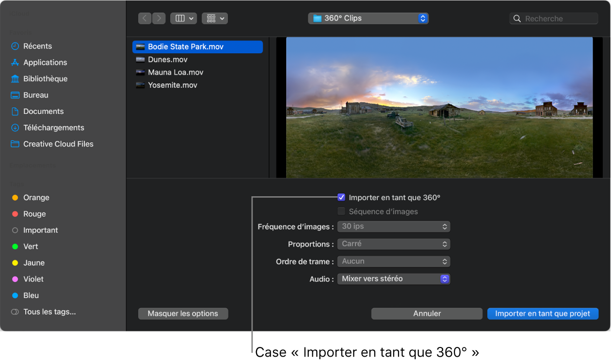 Case « Importer en tant que 360° » dans la zone de dialogue d’importation
