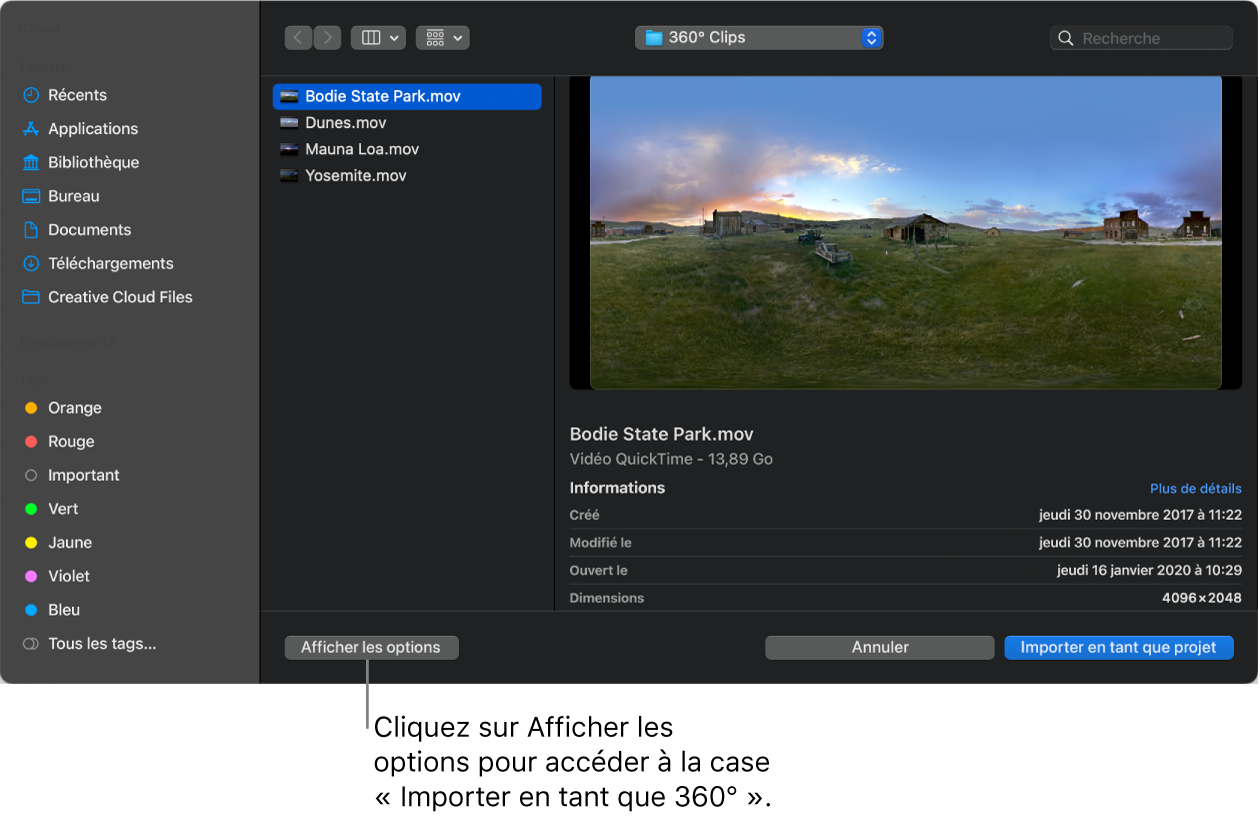 Bouton « Afficher les options » dans la zone de dialogue d’importation.