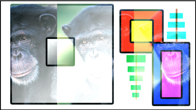 Canevas affichant les boîtes et le singe fusionnés à l’aide du mode Densité linéaire –