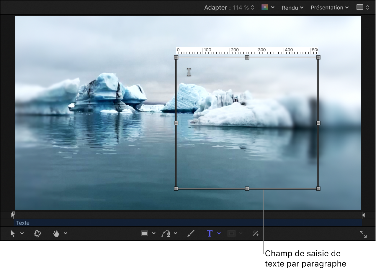 Canevas affichant le champ de saisie de paragraphe