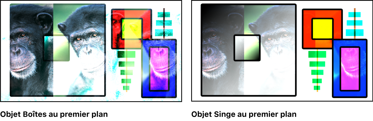 Canevas affichant les boîtes et le singe fusionnés à l’aide du mode Densité couleur –