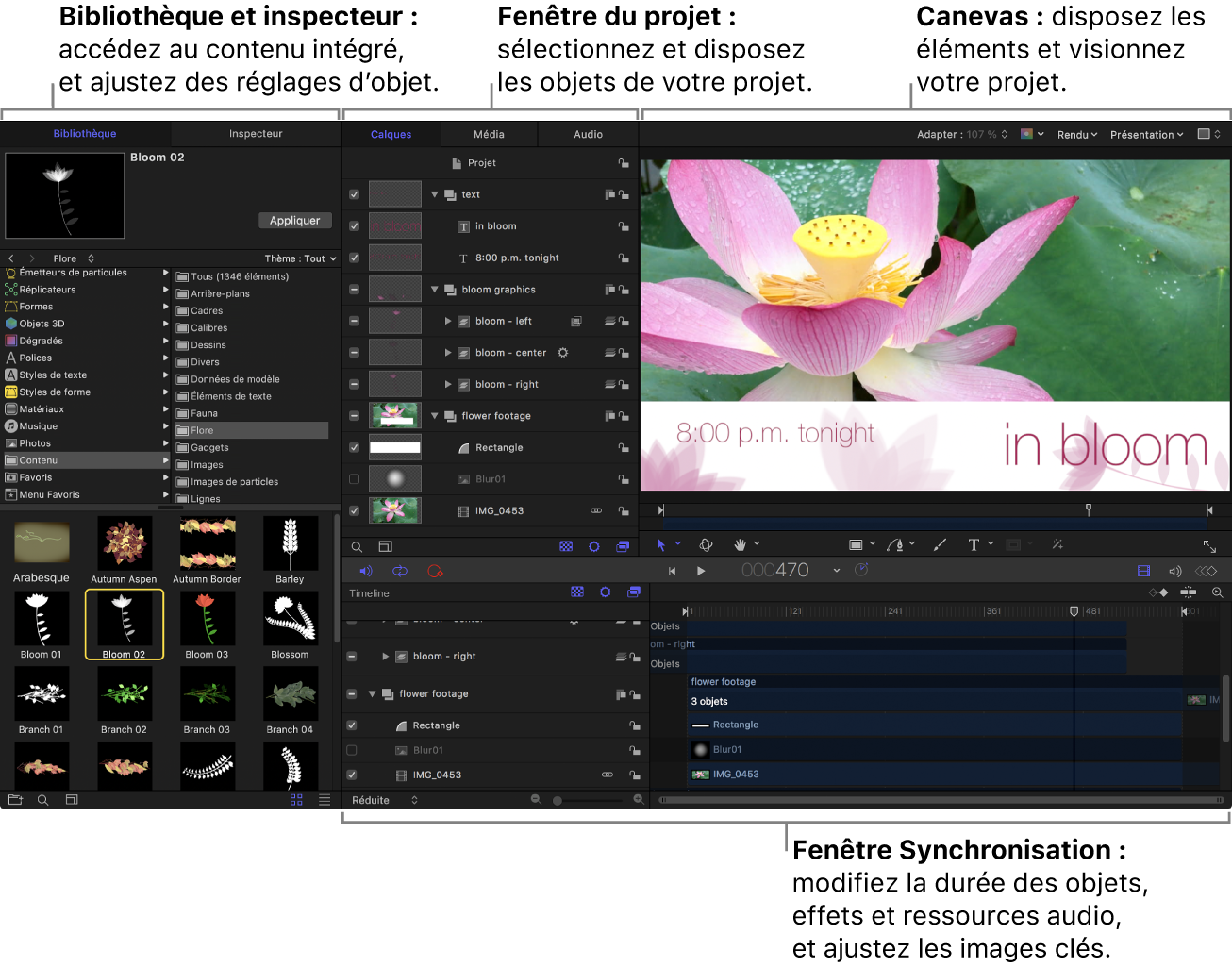 Fenêtre Motion affichant la bibliothèque, la fenêtre Projet, le canevas, la fenêtre Synchronisation et la barre d’outils