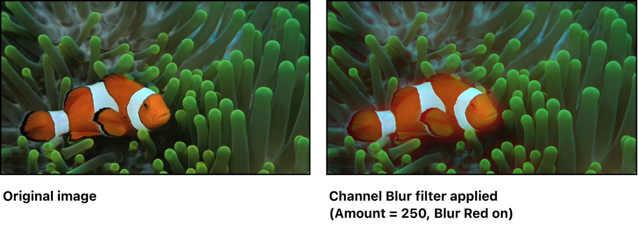 「ブラー（チャンネル）」フィルタの効果を示すキャンバス