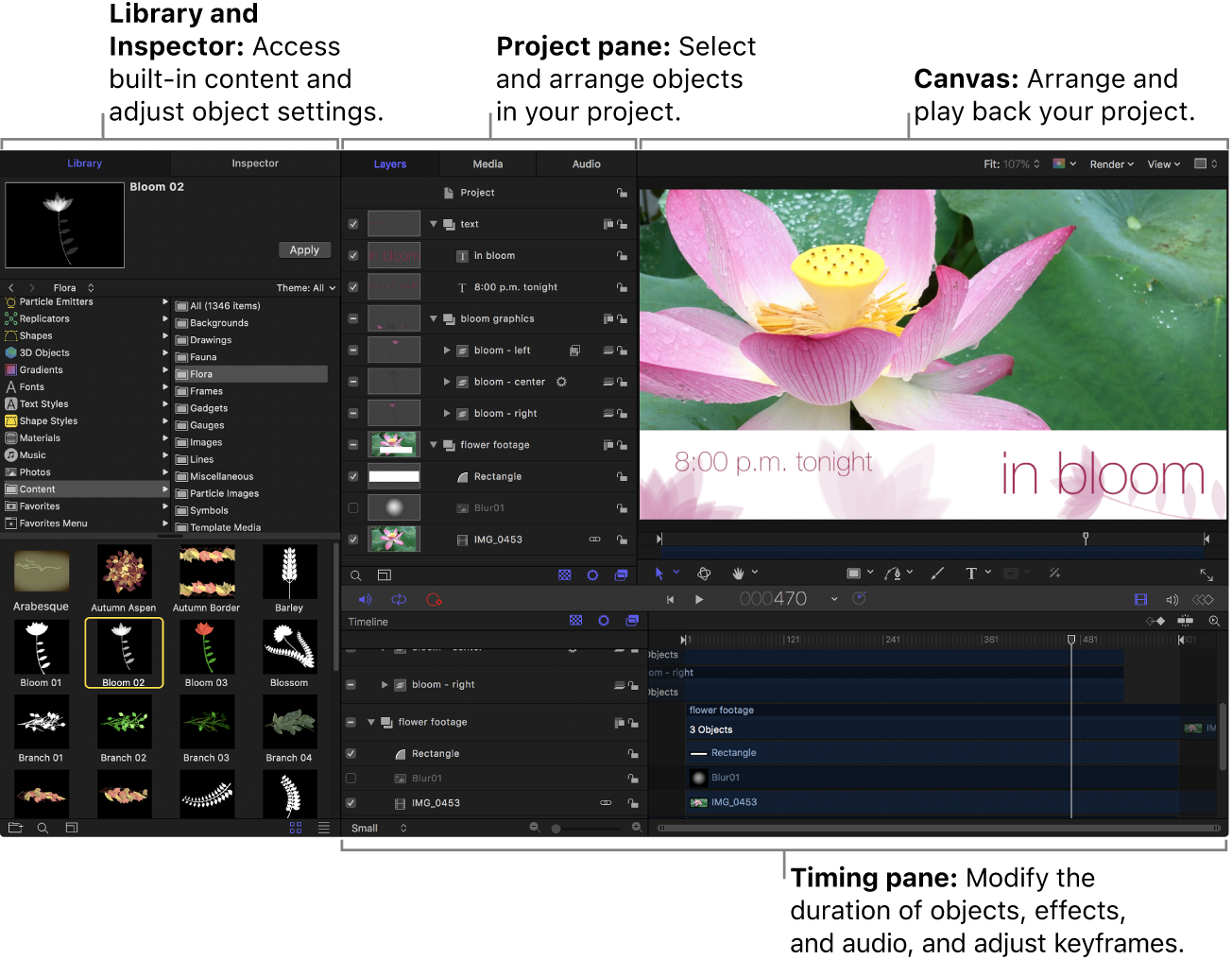 Motionウインドウ。「ライブラリ」、プロジェクトパネル、キャンバス、タイミングパネル、およびツールバーが表示されています