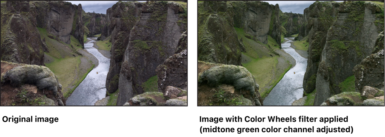 「カラーホイール」フィルタの効果を示すキャンバス(中間色調の緑のカラーチャンネルが調整されています)