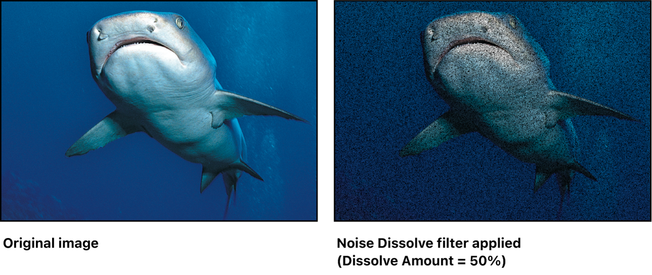 「ノイズディゾルブ」フィルタの効果を示すキャンバス