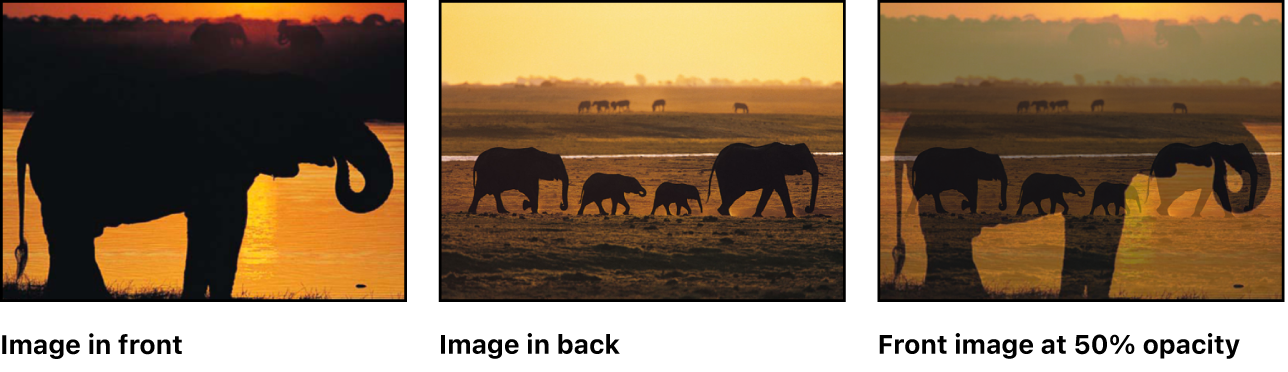 キャンバス。オブジェクトの不透明度を下げるエフェクトが示されています